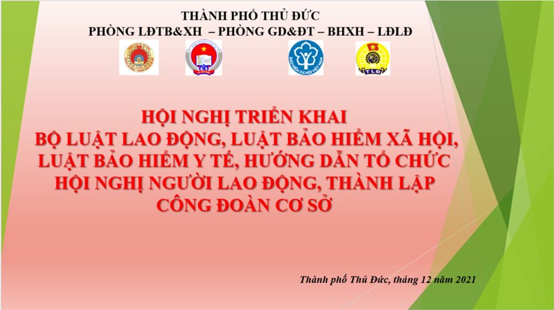 <a href="/hanh-chinh-phap-luat/tai-lieu-hoi-nghi-trien-khai-bo-luat-lao-dong-luat-bao-hiem-xa-hoi-luat-bao-hie/ctfull/84362/431759">Tài liệu hội nghị 
triển khai bộ luật lao động,<span class=bacham>...</span></a>